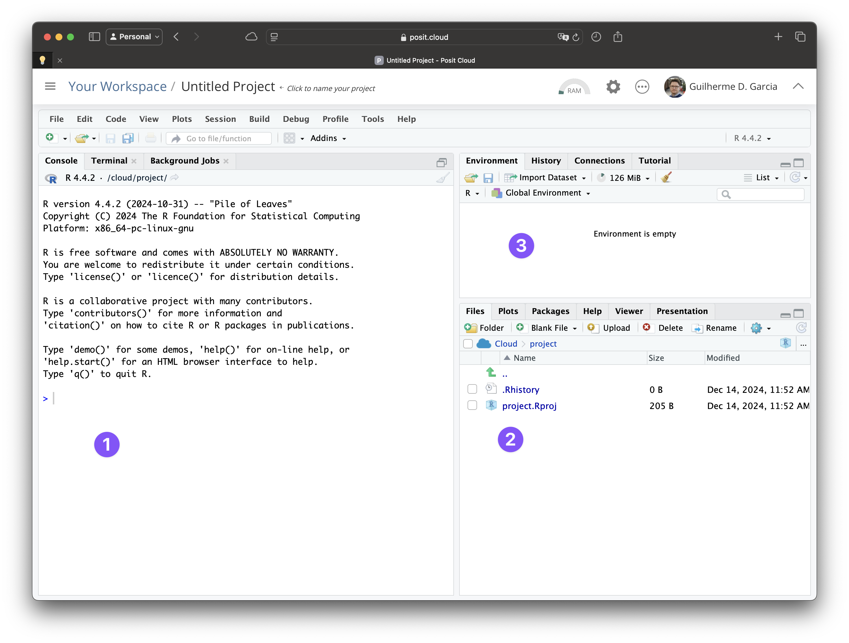 L’interface de RStudio : cliquez pour agrandir